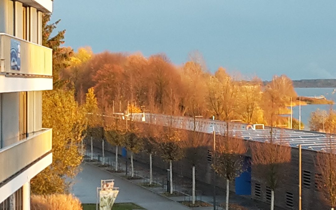 “EU-Förderung für die Lausitz” in Senftenberg